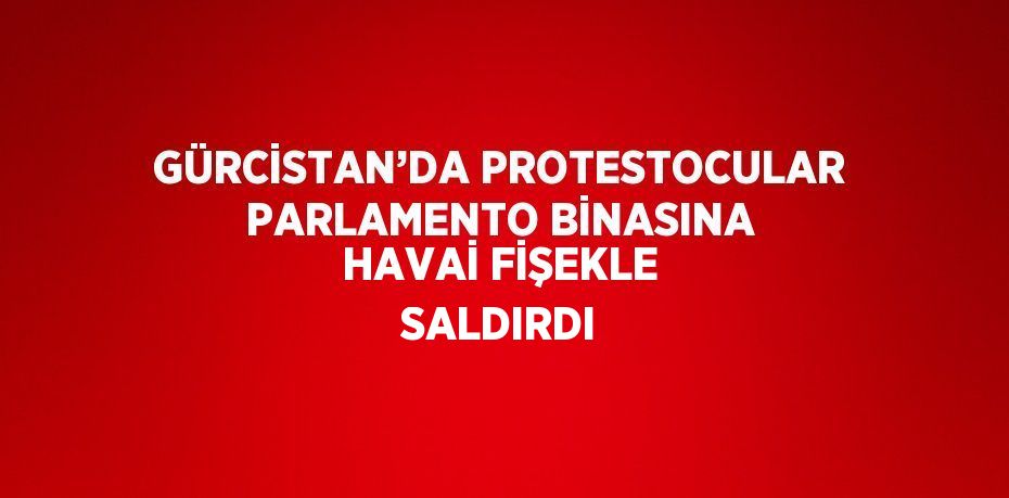 GÜRCİSTAN’DA PROTESTOCULAR PARLAMENTO BİNASINA HAVAİ FİŞEKLE SALDIRDI