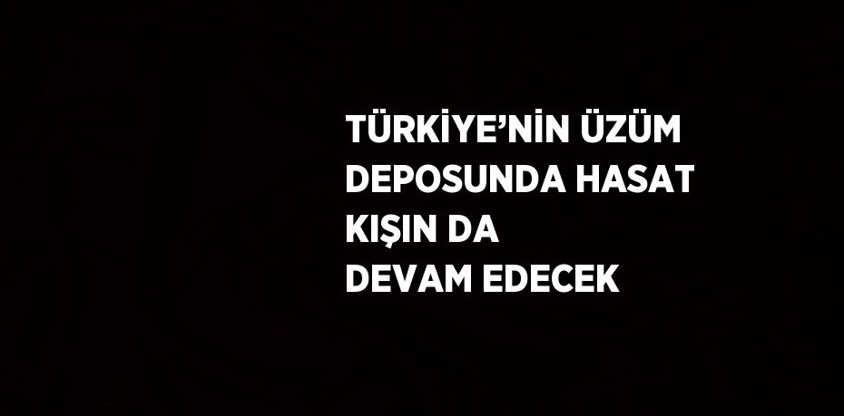 TÜRKİYE’NİN ÜZÜM DEPOSUNDA HASAT KIŞIN DA DEVAM EDECEK