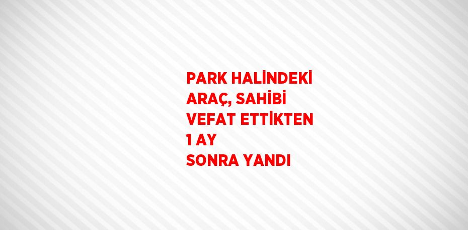 PARK HALİNDEKİ ARAÇ, SAHİBİ VEFAT ETTİKTEN 1 AY SONRA YANDI