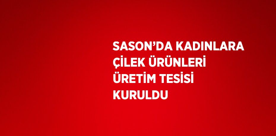 SASON’DA KADINLARA ÇİLEK ÜRÜNLERİ ÜRETİM TESİSİ KURULDU