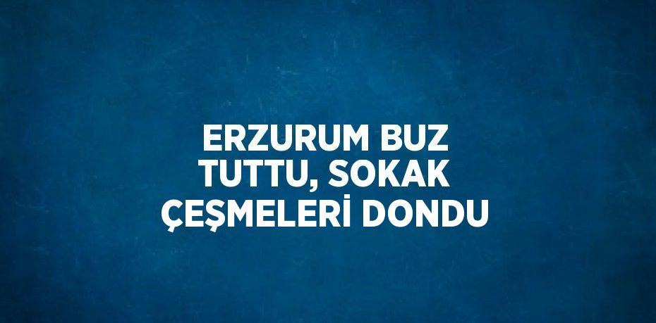 ERZURUM BUZ TUTTU, SOKAK ÇEŞMELERİ DONDU