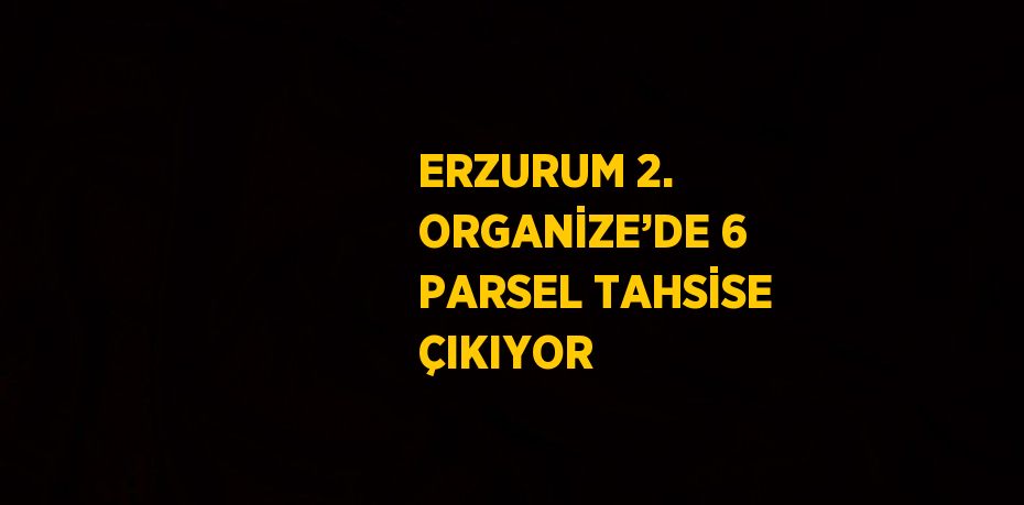 ERZURUM 2. ORGANİZE’DE 6 PARSEL TAHSİSE ÇIKIYOR