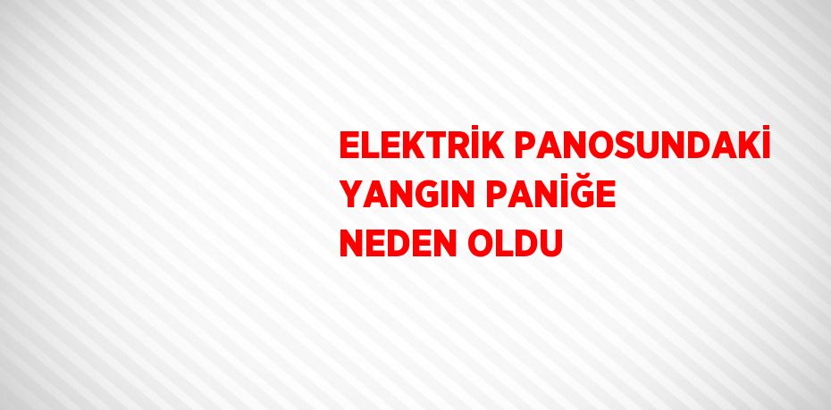 ELEKTRİK PANOSUNDAKİ YANGIN PANİĞE NEDEN OLDU