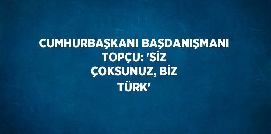 CUMHURBAŞKANI BAŞDANIŞMANI TOPÇU: 'SİZ ÇOKSUNUZ, BİZ TÜRK'