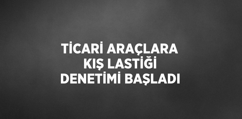 TİCARİ ARAÇLARA KIŞ LASTİĞİ DENETİMİ BAŞLADI