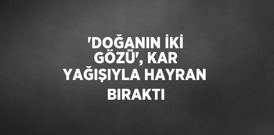 'DOĞANIN İKİ GÖZÜ', KAR YAĞIŞIYLA HAYRAN BIRAKTI