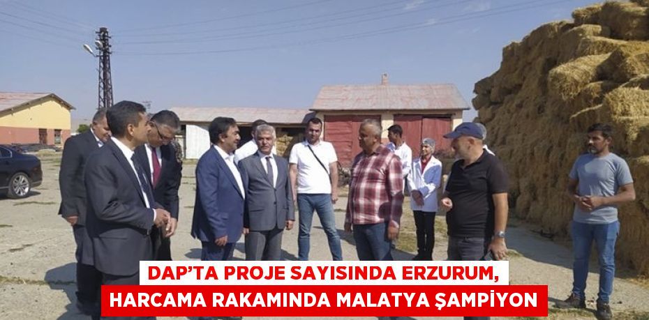 DAP’TA PROJE SAYISINDA ERZURUM, HARCAMA RAKAMINDA MALATYA ŞAMPİYON