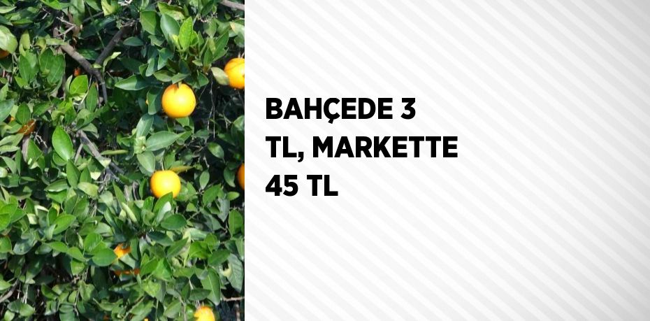 BAHÇEDE 3 TL, MARKETTE 45 TL