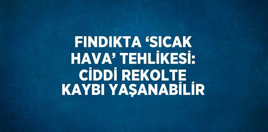 FINDIKTA ‘SICAK HAVA’ TEHLİKESİ: CİDDİ REKOLTE KAYBI YAŞANABİLİR