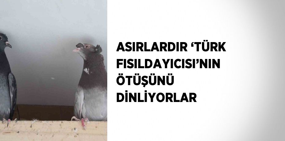 ASIRLARDIR ‘TÜRK FISILDAYICISI’NIN ÖTÜŞÜNÜ DİNLİYORLAR