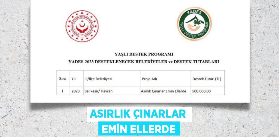 ASIRLIK ÇINARLAR EMİN ELLERDE