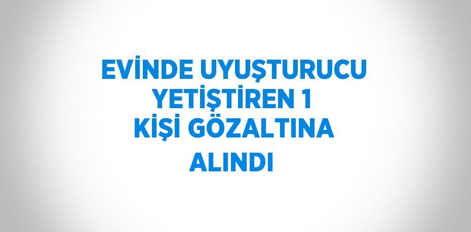 EVİNDE UYUŞTURUCU YETİŞTİREN 1 KİŞİ GÖZALTINA ALINDI