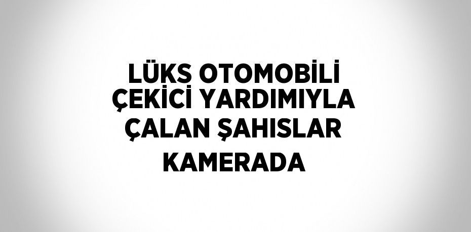 LÜKS OTOMOBİLİ ÇEKİCİ YARDIMIYLA ÇALAN ŞAHISLAR KAMERADA