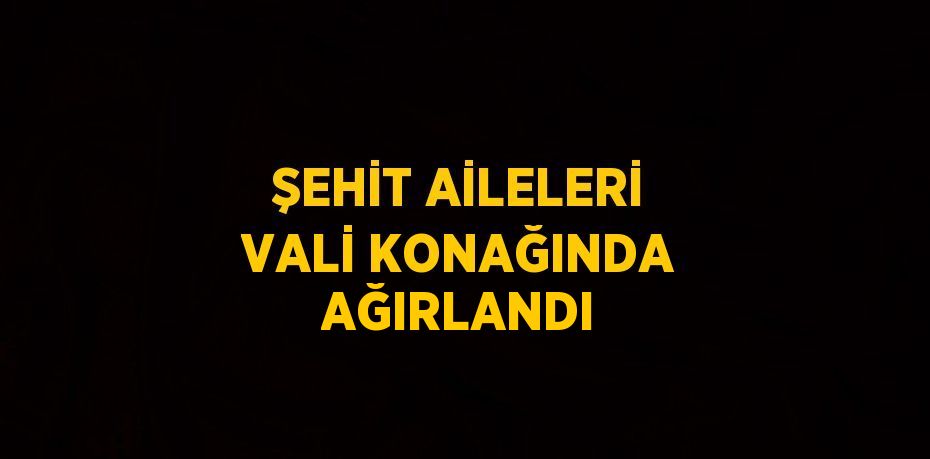 ŞEHİT AİLELERİ VALİ KONAĞINDA AĞIRLANDI