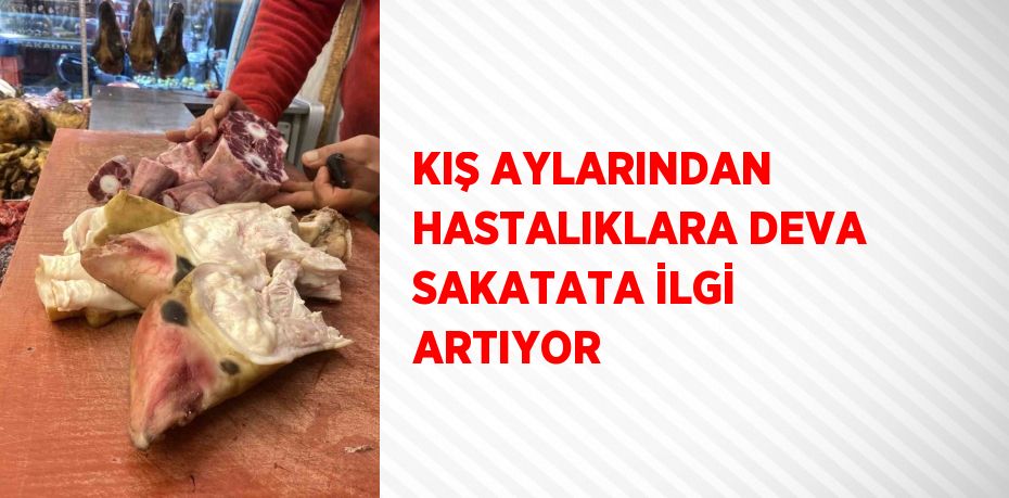 KIŞ AYLARINDAN HASTALIKLARA DEVA SAKATATA İLGİ ARTIYOR