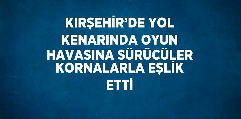 KIRŞEHİR’DE YOL KENARINDA OYUN HAVASINA SÜRÜCÜLER KORNALARLA EŞLİK ETTİ