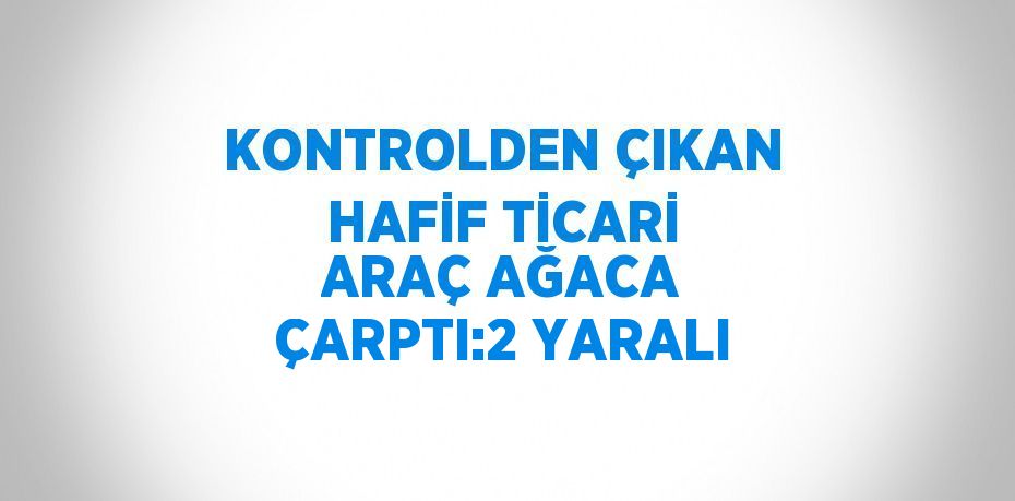 KONTROLDEN ÇIKAN HAFİF TİCARİ ARAÇ AĞACA ÇARPTI:2 YARALI