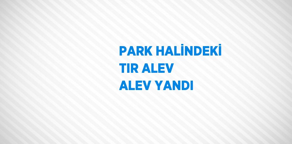 PARK HALİNDEKİ TIR ALEV ALEV YANDI