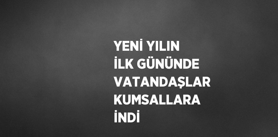 YENİ YILIN İLK GÜNÜNDE VATANDAŞLAR KUMSALLARA İNDİ