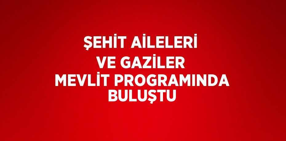 ŞEHİT AİLELERİ VE GAZİLER MEVLİT PROGRAMINDA BULUŞTU