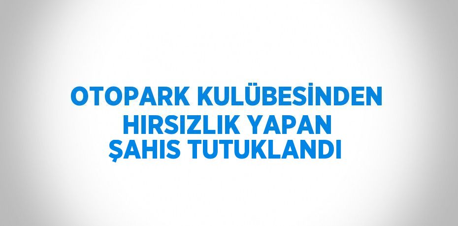 OTOPARK KULÜBESİNDEN HIRSIZLIK YAPAN ŞAHIS TUTUKLANDI
