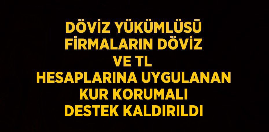 DÖVİZ YÜKÜMLÜSÜ FİRMALARIN DÖVİZ VE TL HESAPLARINA UYGULANAN KUR KORUMALI DESTEK KALDIRILDI