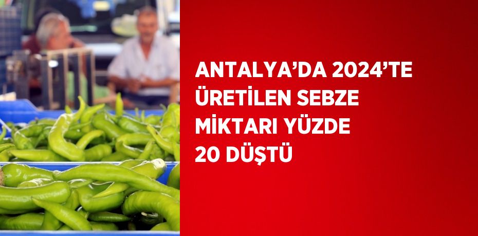 ANTALYA’DA 2024’TE ÜRETİLEN SEBZE MİKTARI YÜZDE 20 DÜŞTÜ