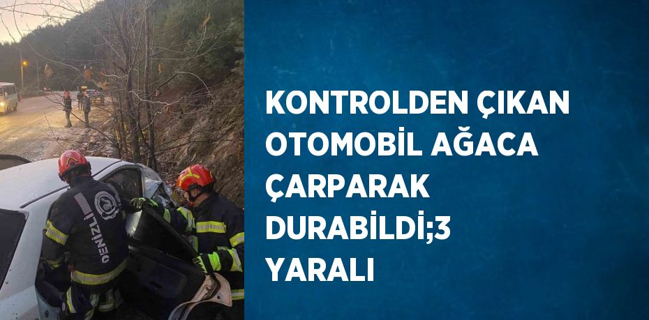 KONTROLDEN ÇIKAN OTOMOBİL AĞACA ÇARPARAK DURABİLDİ;3 YARALI