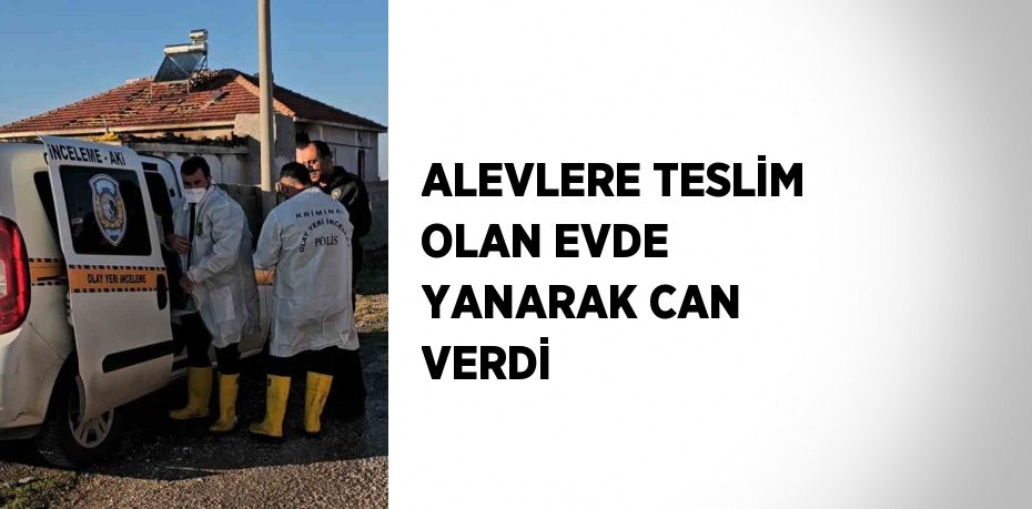 ALEVLERE TESLİM OLAN EVDE YANARAK CAN VERDİ