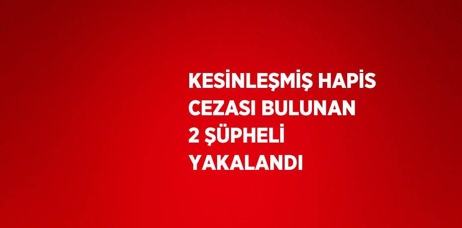 KESİNLEŞMİŞ HAPİS CEZASI BULUNAN 2 ŞÜPHELİ YAKALANDI