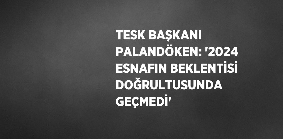 TESK BAŞKANI PALANDÖKEN: '2024 ESNAFIN BEKLENTİSİ DOĞRULTUSUNDA GEÇMEDİ'