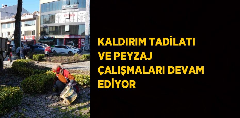 KALDIRIM TADİLATI VE PEYZAJ ÇALIŞMALARI DEVAM EDİYOR