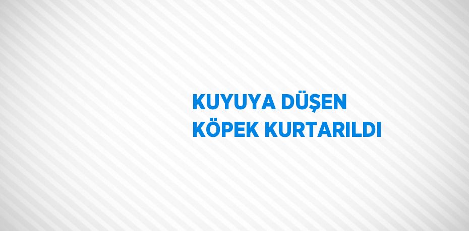 KUYUYA DÜŞEN KÖPEK KURTARILDI