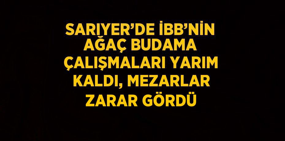 SARIYER’DE İBB’NİN AĞAÇ BUDAMA ÇALIŞMALARI YARIM KALDI, MEZARLAR ZARAR GÖRDÜ