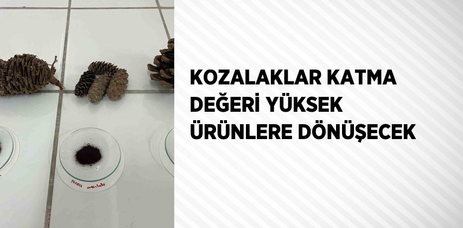 KOZALAKLAR KATMA DEĞERİ YÜKSEK ÜRÜNLERE DÖNÜŞECEK