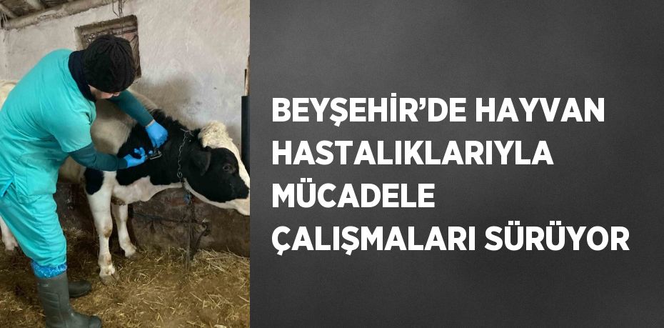 BEYŞEHİR’DE HAYVAN HASTALIKLARIYLA MÜCADELE ÇALIŞMALARI SÜRÜYOR