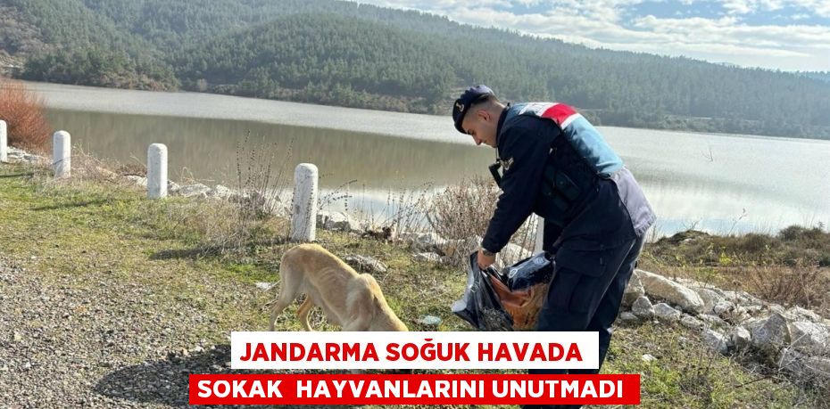 JANDARMA SOĞUK HAVADA SOKAK  HAYVANLARINI UNUTMADI