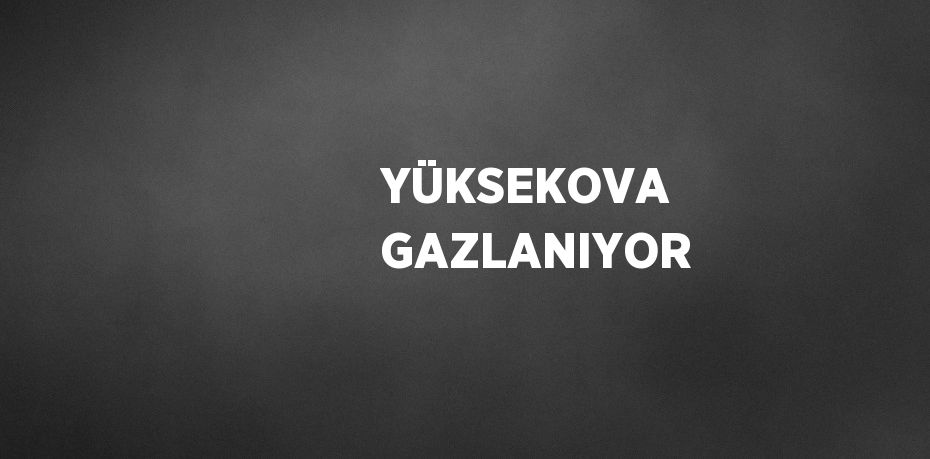 YÜKSEKOVA GAZLANIYOR