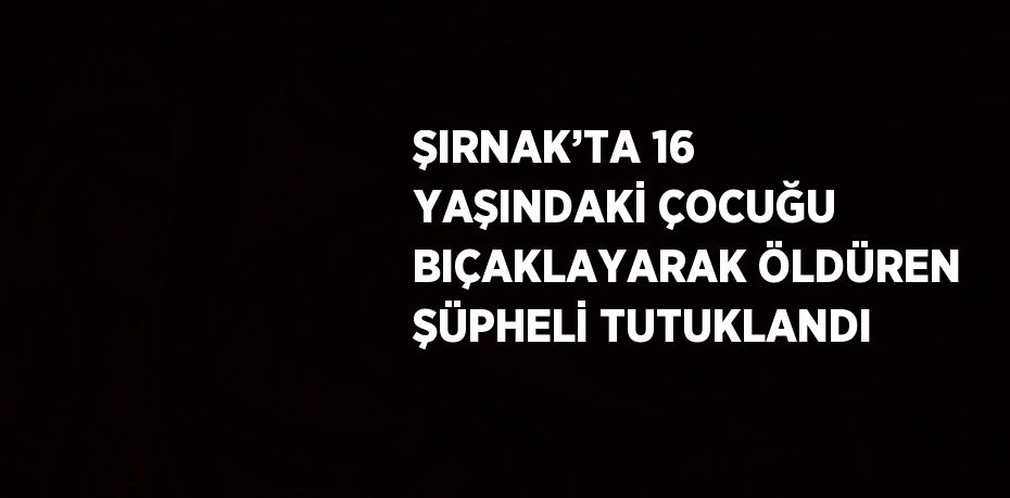 ŞIRNAK’TA 16 YAŞINDAKİ ÇOCUĞU BIÇAKLAYARAK ÖLDÜREN ŞÜPHELİ TUTUKLANDI