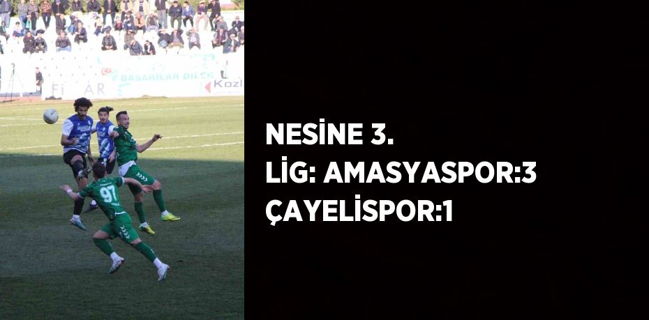 NESİNE 3. LİG: AMASYASPOR:3 ÇAYELİSPOR:1