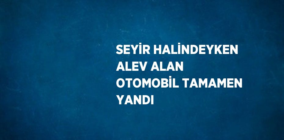 SEYİR HALİNDEYKEN ALEV ALAN OTOMOBİL TAMAMEN YANDI