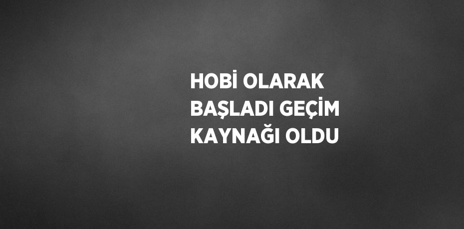 HOBİ OLARAK BAŞLADI GEÇİM KAYNAĞI OLDU