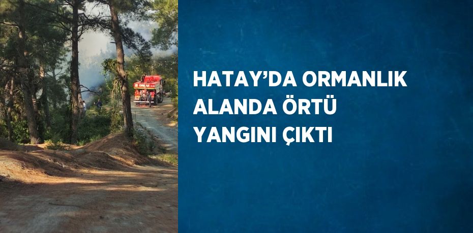 HATAY’DA ORMANLIK ALANDA ÖRTÜ YANGINI ÇIKTI