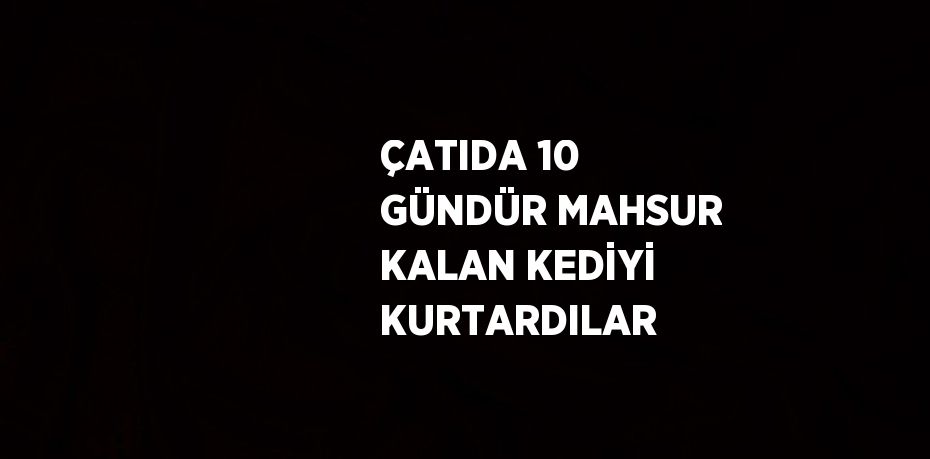 ÇATIDA 10 GÜNDÜR MAHSUR KALAN KEDİYİ KURTARDILAR