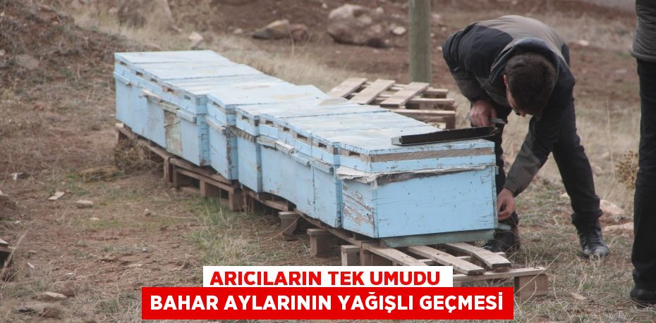 Arıcıların tek umudu bahar aylarının yağışlı geçmesi