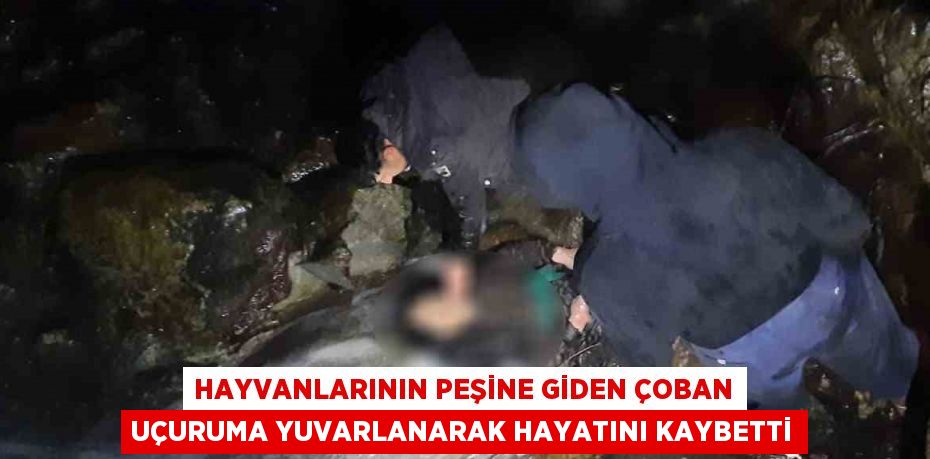 HAYVANLARININ PEŞİNE GİDEN ÇOBAN UÇURUMA YUVARLANARAK HAYATINI KAYBETTİ