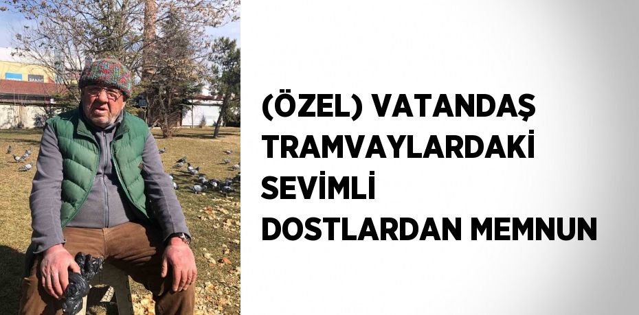 (ÖZEL) VATANDAŞ TRAMVAYLARDAKİ SEVİMLİ DOSTLARDAN MEMNUN