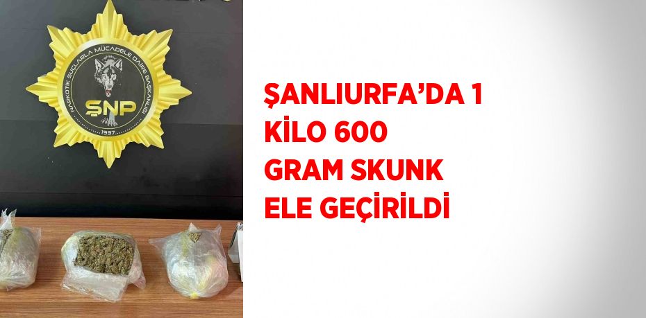 ŞANLIURFA’DA 1 KİLO 600 GRAM SKUNK ELE GEÇİRİLDİ