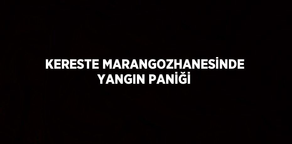 KERESTE MARANGOZHANESİNDE YANGIN PANİĞİ