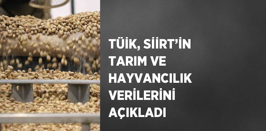 TÜİK, SİİRT’İN TARIM VE HAYVANCILIK VERİLERİNİ AÇIKLADI